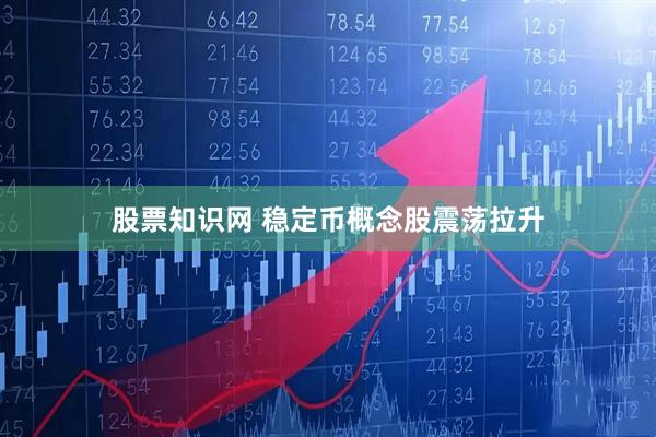 股票知识网 稳定币概念股震荡拉升