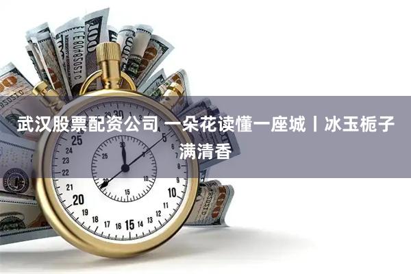 武汉股票配资公司 一朵花读懂一座城丨冰玉栀子满清香